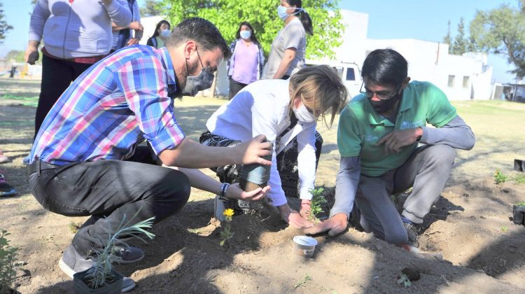 Armaron una huerta agroecológica en el Hospital del Norte