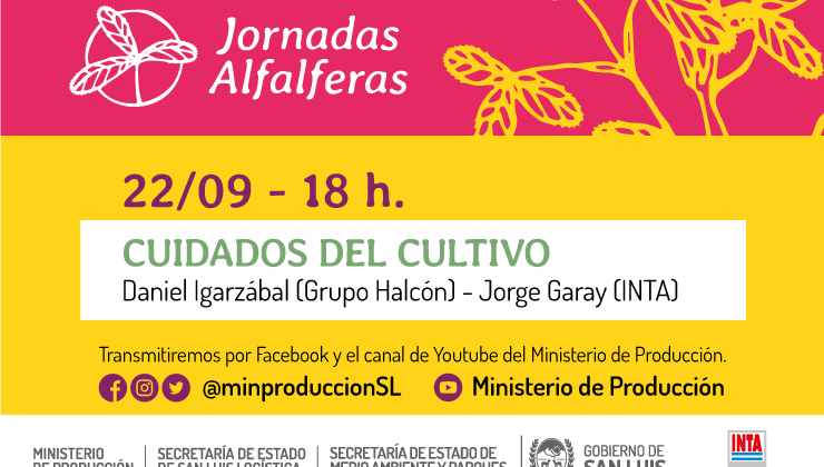 Este miércoles llega la última Jornada Alfalfera