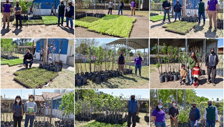 Comenzó la entrega de insumos a beneficiarios del Plan de Activación Productiva Frutihortícola