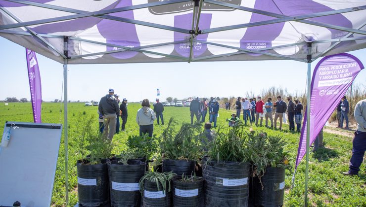 Con buena participación de productores se realizó una nueva capacitación presencial sobre alfalfa