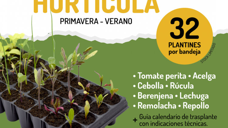 Sol Puntano comienza la venta de bandejas hortícolas primavera-verano para armar huertas familiares