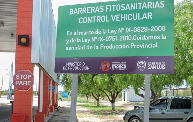 Las barreras fitosanitarias, una estrategia fundamental para el control y erradicación de la mosca de los frutos