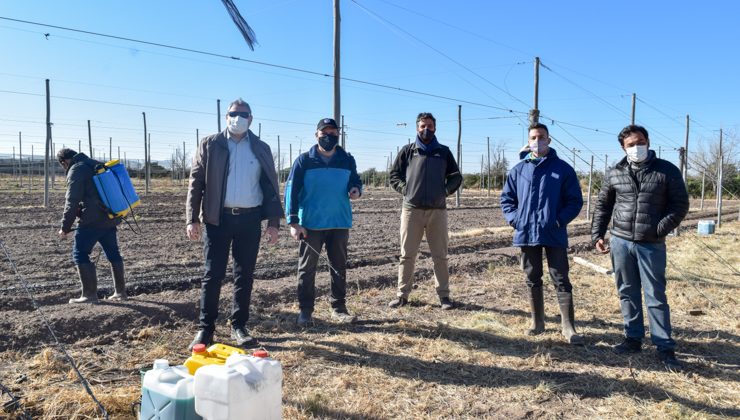 El CONICET realiza ensayos en Sol Puntano para el control de malezas con productos naturales