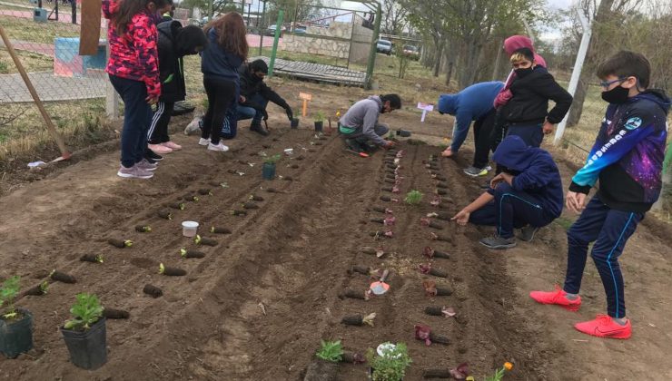 El Ministerio de Producción armó huertas agroecológicas en cuatro escuelas