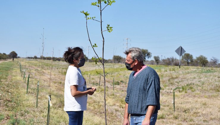 Con un avance del 70%, el tramo San Luis – Villa de la Quebrada comienza a llenarse de verde