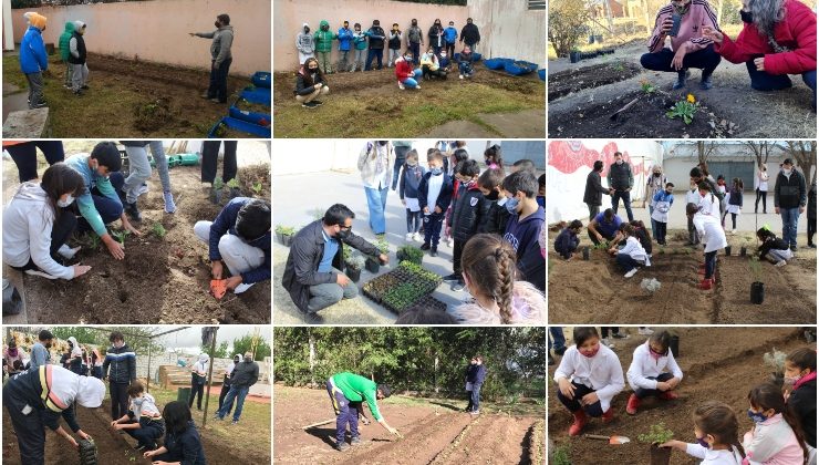 Finalizó el proyecto “Manos en la Huerta”