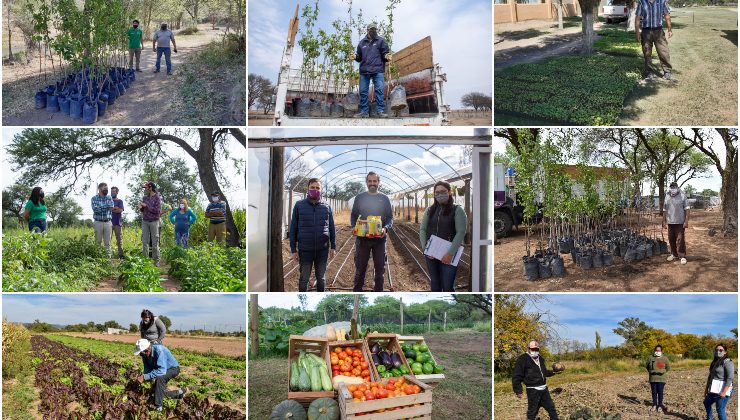 Plan de Activación Frutihortícola, una acción clave para aumentar la producción local