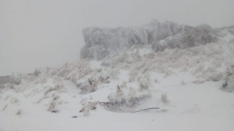 La nieve llegó a las sierras: el miércoles seguirá lluvioso y estará nublado hasta mañana