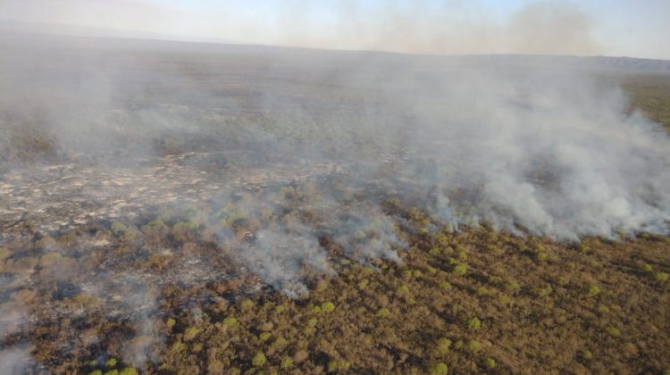 Bomberos y brigadistas siguen combatiendo incendios en el norte provincial