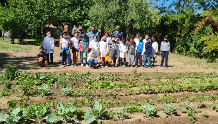 Continúa el proyecto “Manos en la Huerta”