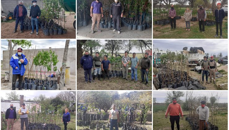 Con una nueva entrega de árboles frutales y semillas, finalizó la primera etapa del Plan de Activación Productiva Frutihortícola