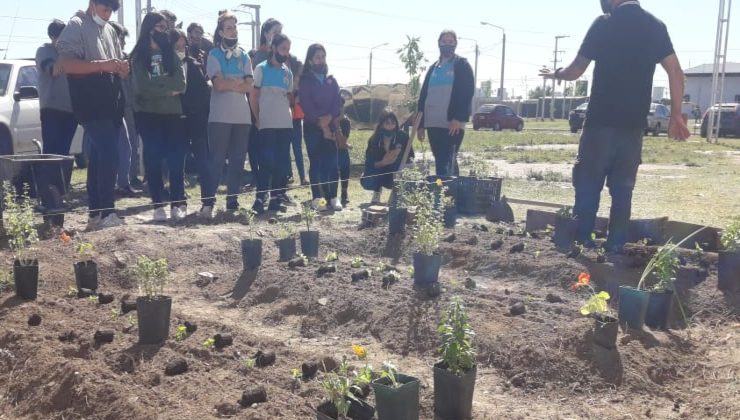 Más escuelas se suman a la producción propia de alimentos