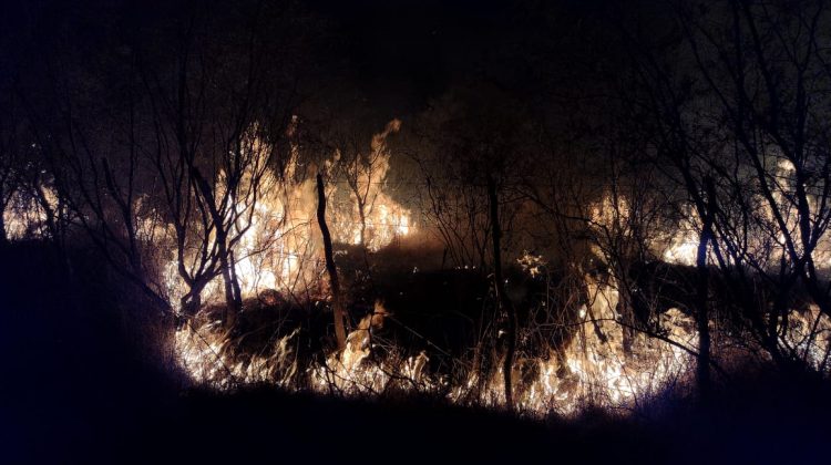 Continúa la lucha contra el fuego en el norte provincial