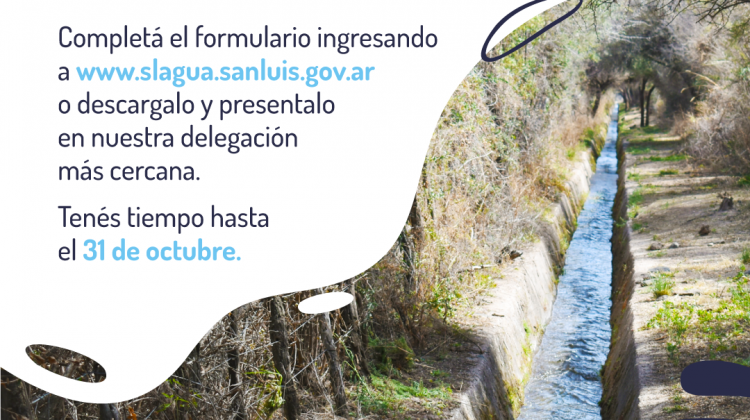 El 31 de octubre finaliza el plazo para la presentación del formulario de Intención de Siembra Primavero – Estival