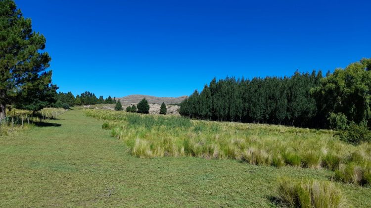 Domingo con cielo mayormente despejado, fresco y viento leve del sur