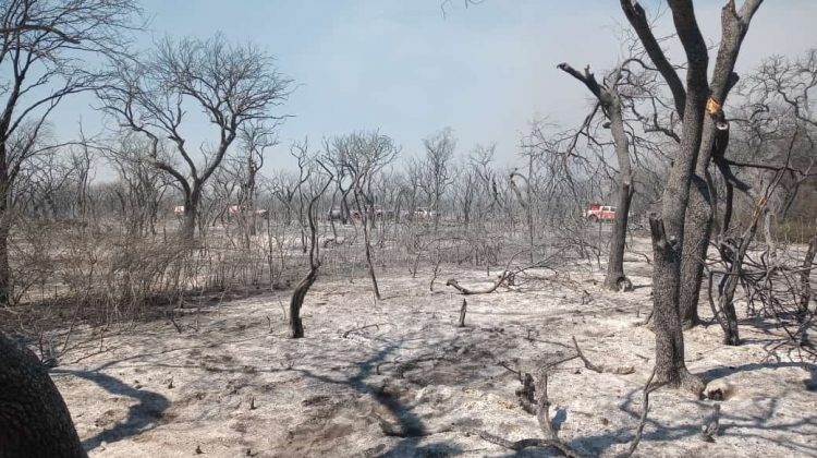 Los incendios en el norte provincial están contenidos