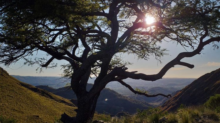 Se viene una semana con temperaturas que superarían los 30°C