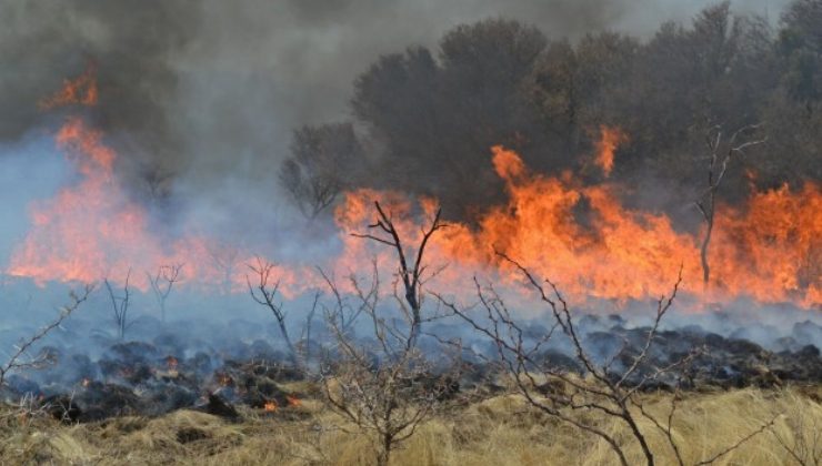 Bomberos y brigadistas continúan luchando contra el fuego