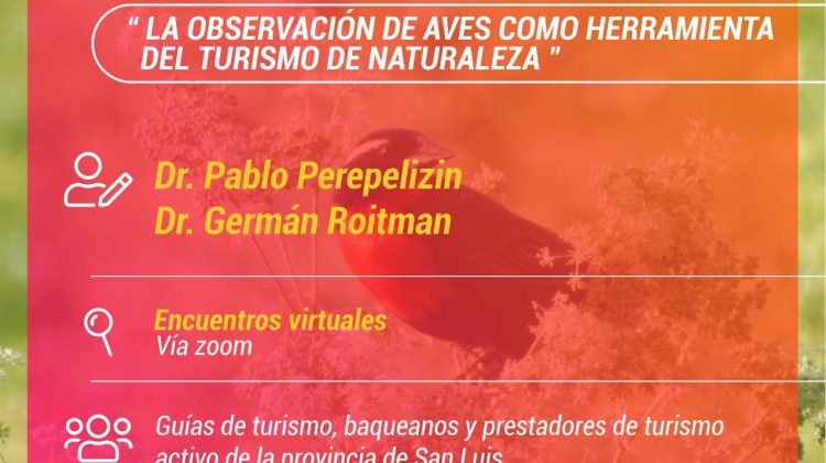 Realizarán capacitación: La observación de aves como herramienta del turismo de naturaleza