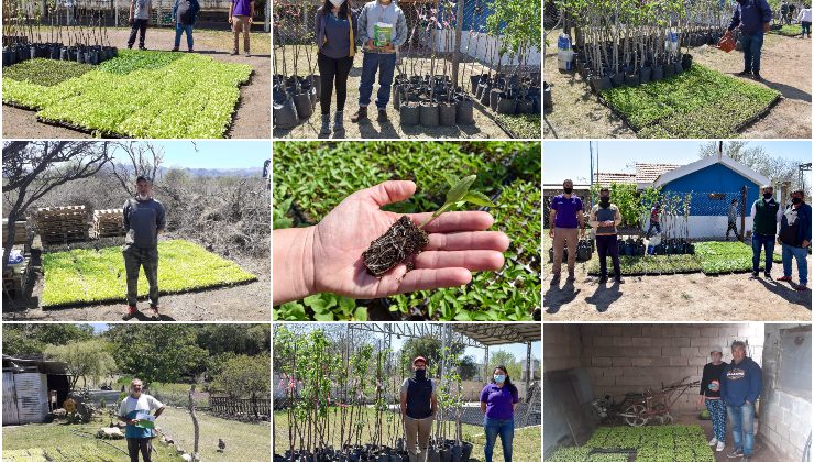 Finalizó la segunda edición del Plan de Activación Frutihortícola