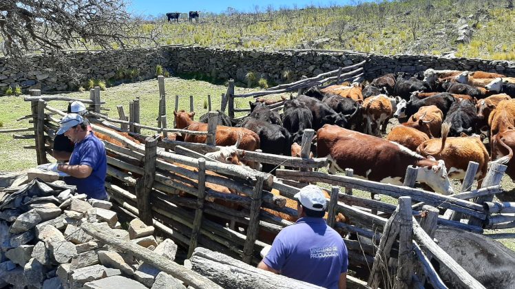 El Ministerio de Producción brindó asistencia sanitaria a pequeños productores del paraje Cerros Largos