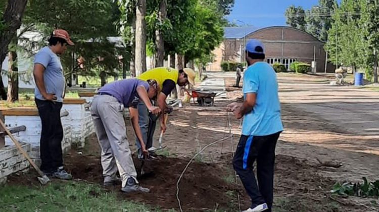 Más seguridad, comodidad y transitabilidad: se construyen nuevas veredas en Batavia