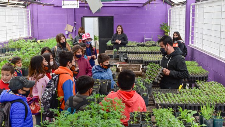 Estudiantes y docentes de la Escuela Generativa “Por Un Mañana Mejor” visitaron el Vivero Cruz de Piedra