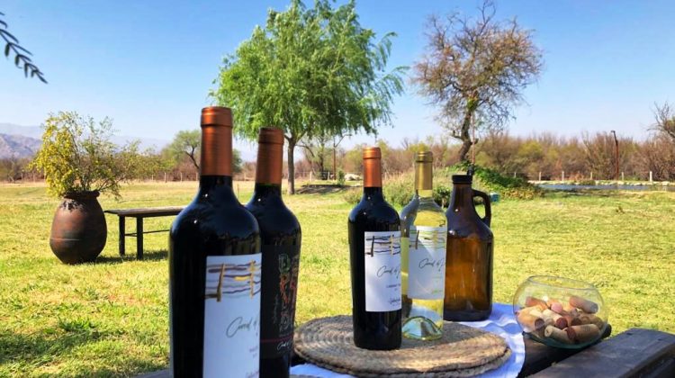 Llega “San Luis Wine Fair”