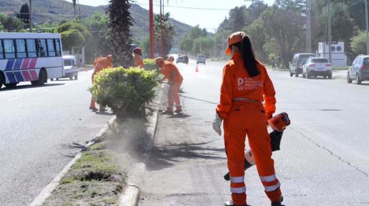 Parquización: la ola verde que embellece los caminos provinciales