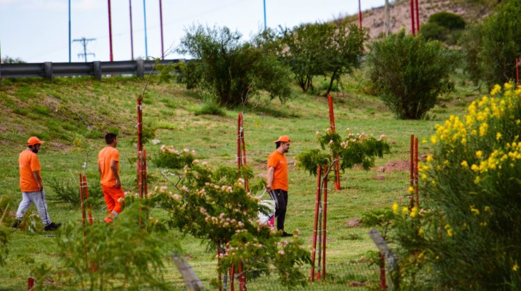 El Parque Nativo de Terrazas resplandece gracias a una ardua labor diaria