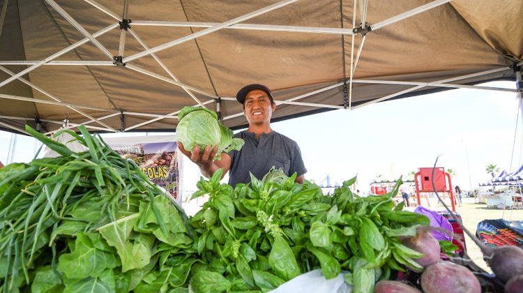 Arrancó la última Feria de Pequeños y Medianos Productores del año en el Parque La Pedrera