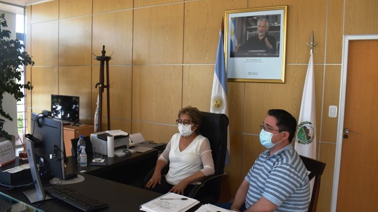 San Luis participó en el Consejo Federal de Salud