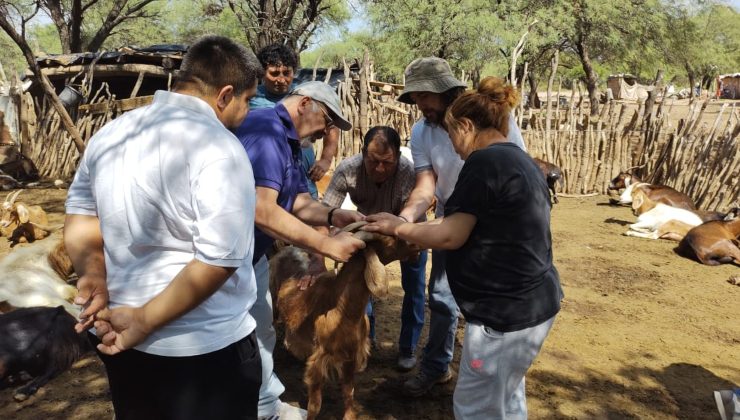 Brindaron distintas capacitaciones a los grupos de productores caprinos del norte provincial