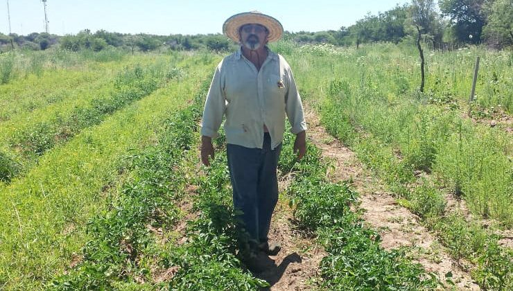 Continúa el asesoramiento y acompañamiento a beneficiarios del Plan de Activación Productiva Frutihortícola