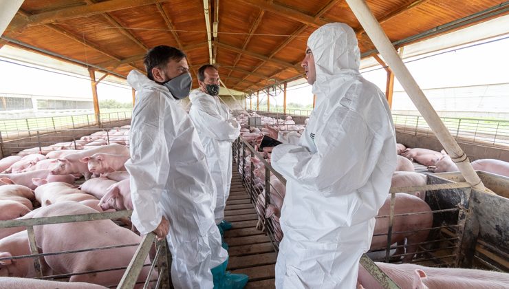 El ministro Juan Lavandeira visitó las empresas Porcipunta y Agroalimentos San Luis