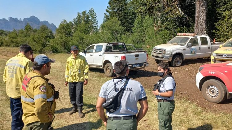 Ya está en Neuquén la misión puntana que viajó para combatir los incendios forestales