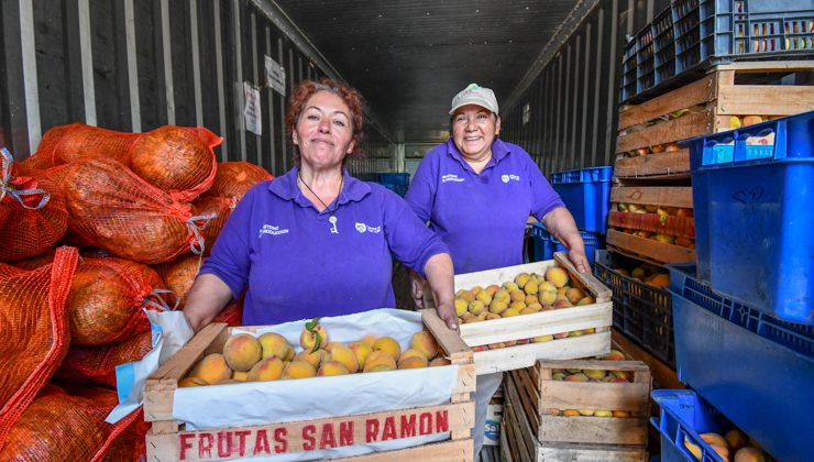 Sol Puntano comenzó la temporada alta de producción de frutas y hortalizas