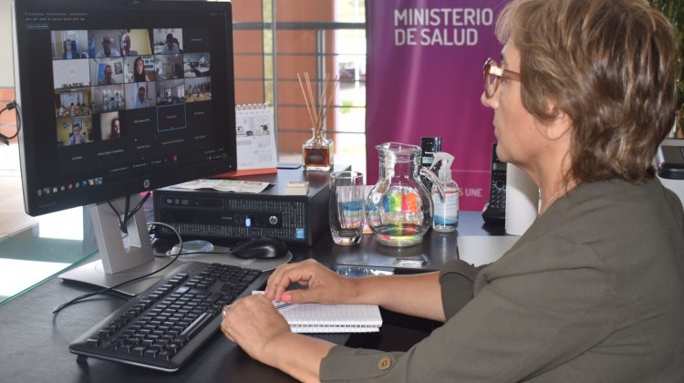 La ministra de Salud participó del encuentro virtual del Consejo Federal de Salud