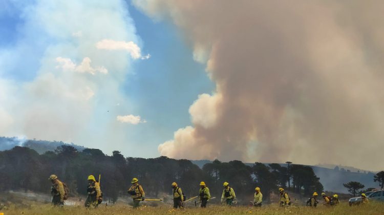 Ardua jornada de trabajo de los puntanos que combaten los incendios en el sur