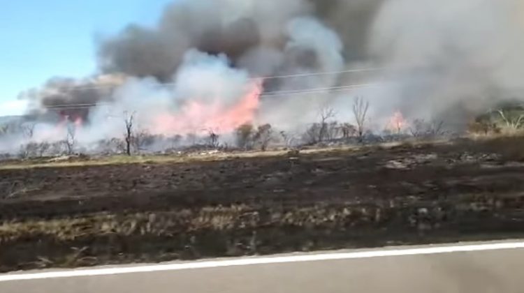 Combaten un incendio forestal en inmediaciones de Toro Negro