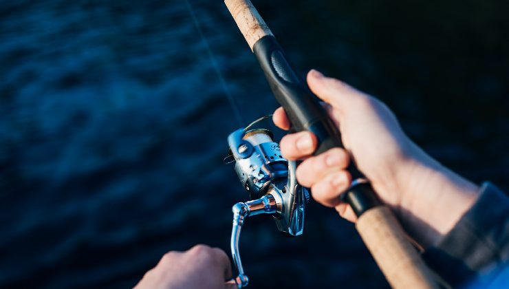 Calendario de pesca 2022: conocé el reglamento provincial