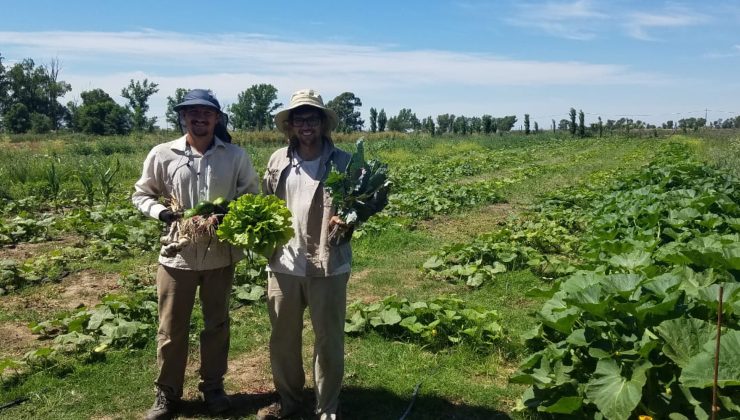 Continúan las visitas a beneficiario del Plan de Activación Frutihortícola