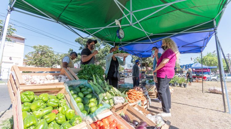 Llegan dos nuevas ventas directas al público de Sol Puntano