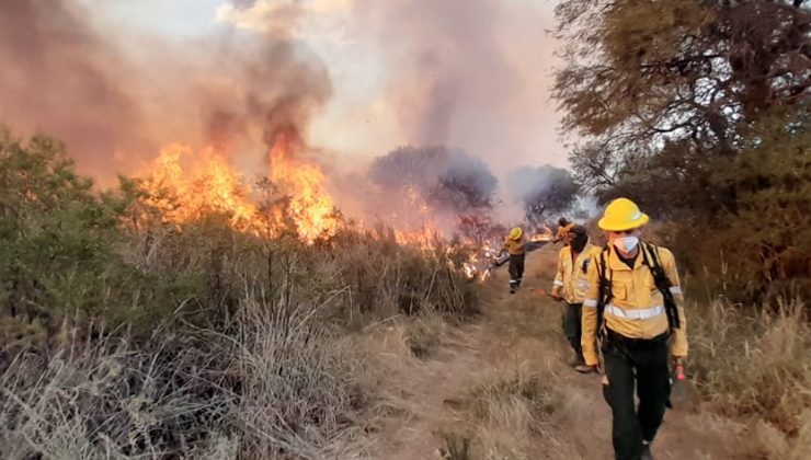 Extinguen los incendios de Toro Negro y Los Cajones