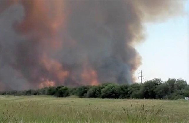 Combaten un incendio forestal en inmediaciones de Toro Negro