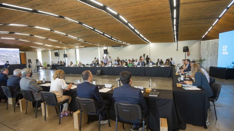 Finalizó la sesión extraordinaria del Consejo Federal de Medio Ambiente