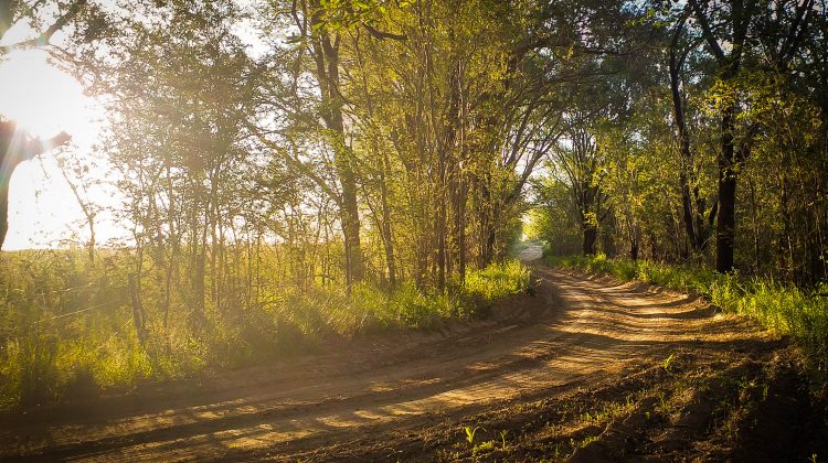 La semana comienza con excelentes condiciones del tiempo y temperaturas en aumento