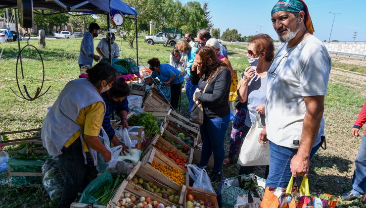 Vecinos de la ciudad incorporan a sus recetas diarias los productos frescos de Sol Puntano