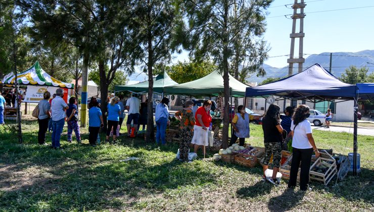 Sol Puntano brindará una capacitación sobre producción hortícola y elaboración de conservas