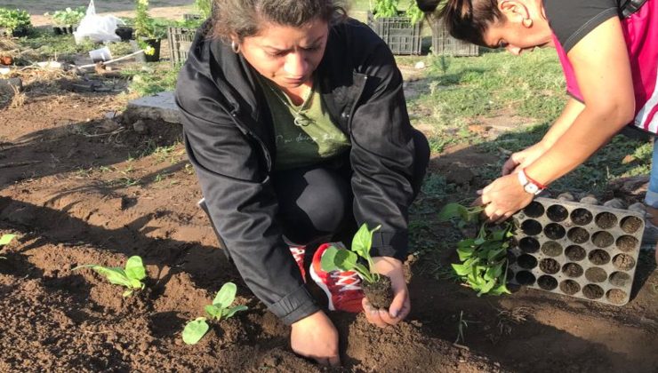 En 2022 continúa el armado de huertas agroecológicas en la provincia